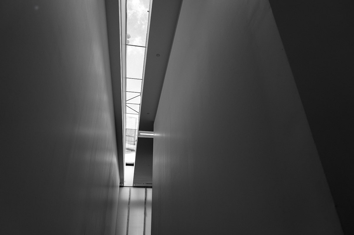 茶杯狐想转发前：先看概率写死吗，再把口径写到一句话，“茶杯狐cupfox”