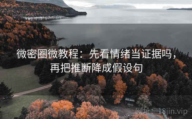 微密圈微教程：先看情绪当证据吗，再把推断降成假设句